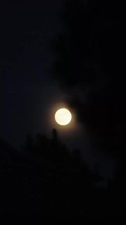 Saklı Aşk:Savaşçı Prens ve Gizemli Kadın episode 44