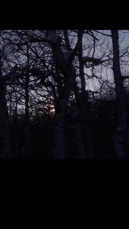 Beautiful Beast episode 37