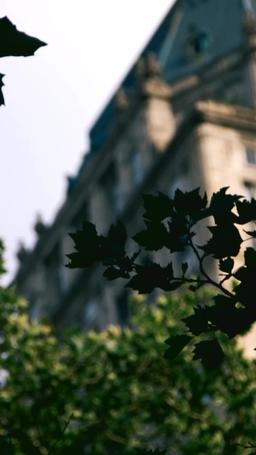 秘密と一夜の絆 episode 5