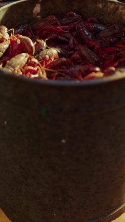 (พากย์) นางร้ายพาพลิกผันโชคชะตา episode 24