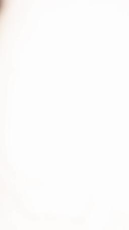 マフィアボス高校復帰 episode 3