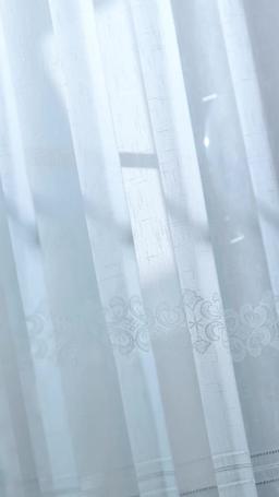 The Heiress's Dilemma episode 72