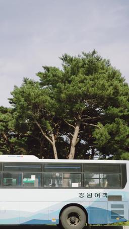 코디가 안티라고 episode 47