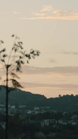 Il mio capo mafioso zuccherato episode 57