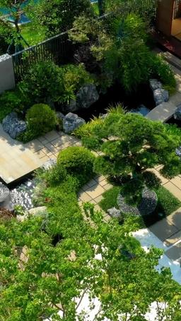 El Corazón del Magnate episode 21