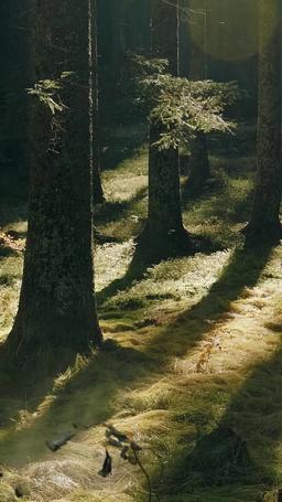 두 알파 사이의 나 episode 27