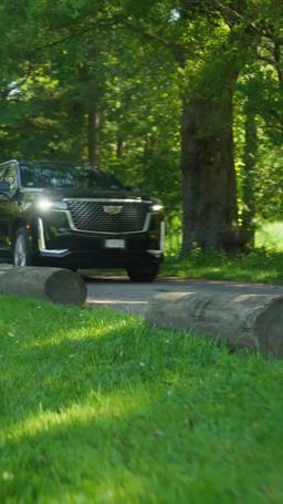 Ношу его тройняшек, становлюсь его женой episode 30