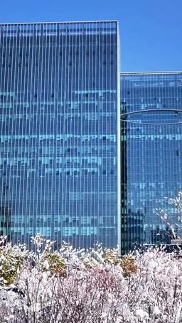  طليقي يشك في أنني الوريثة الحقيقي episode 26