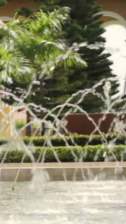 Il mio capo mafioso zuccherato episode 75