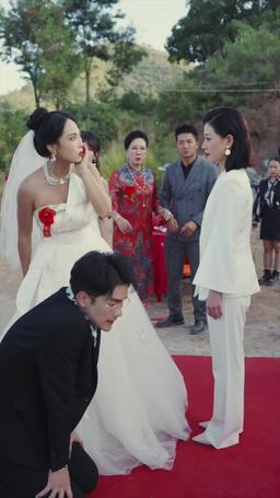 結婚當天我成了豪門繼承人 episode 14
