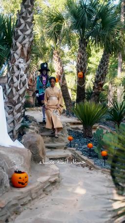 سر مطعم نور للسوشي episode 24