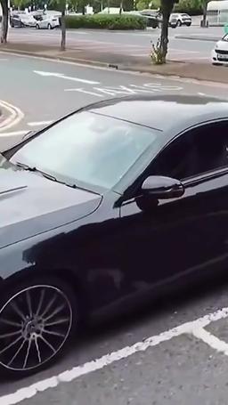 Dragón Silente: El Polvo del Dragón Celeste episode 73