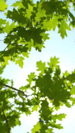 From Poverty to Power: The Hidden Heiress episode 29