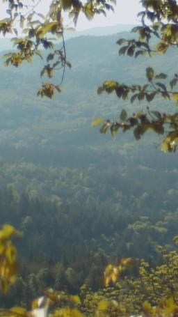 Love On the Sidelines episode 64