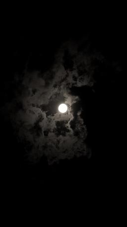 Park Avenue: Glanz und Geheimnisse episode 3