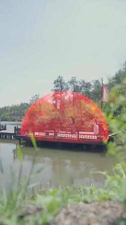 Black Myth: My Master is Wukong episode 58