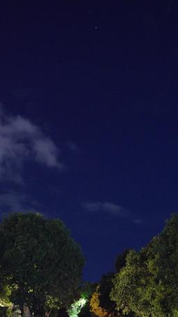 身代わり令嬢の華麗なる逆襲 episode 54