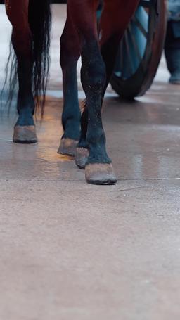 A Princess? No! I'm the Female General! episode 3