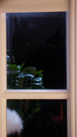 Reclamada por el hermano Alfa de mi ex episode 54