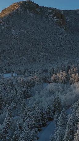 La boss e il suo San Valentino in provincia episode 42