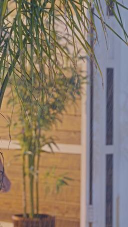 Związana honorem episode 79