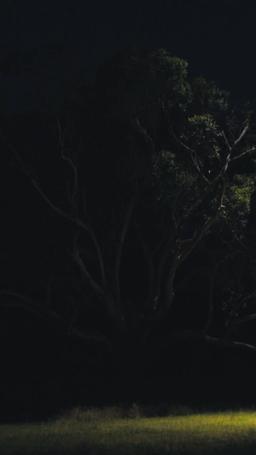 一匹狼のアルファに求められて episode 6