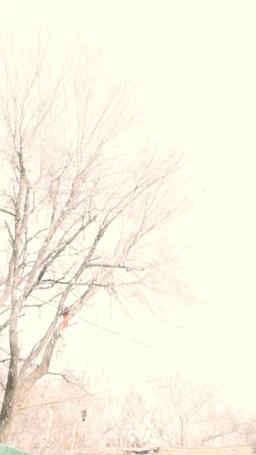 عبث الربيع بالمشاعر episode 5