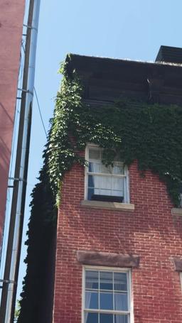 Ligada à Honra episode 60