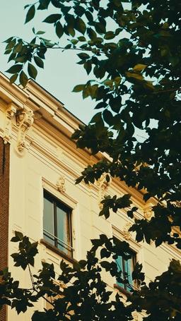 Ношу его тройняшек, становлюсь его женой episode 63