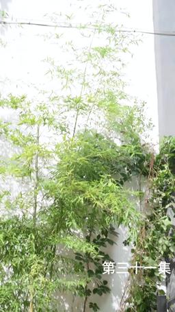 The Martial Healer's Journey to Love episode 31