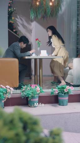 Il triangolo spezzato episode 12