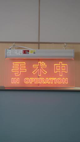 Rogue Lawyer episode 36