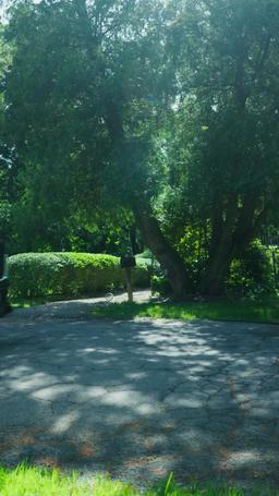 그의 세쌍둥이를 임신하고 아내까지 되었다 episode 16