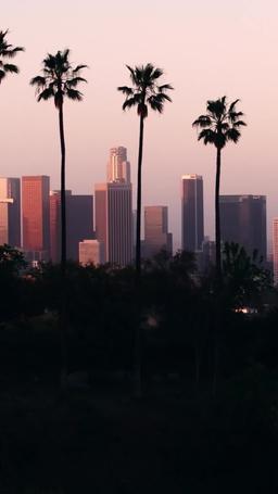 Un Contrat Délicat avec le Chef de la Mafia episode 9