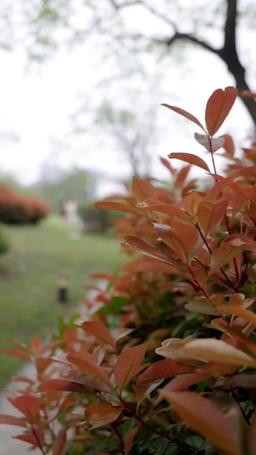 まさかの！？恋する泌尿器科女医 episode 76