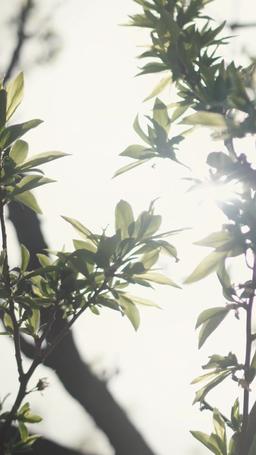 [吹き替え] エリート男子たちの手懐け方 episode 58