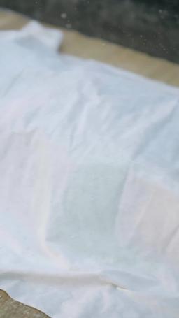 司令官の娘は天才占い師 episode 1