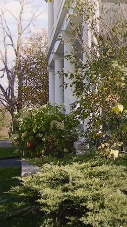 섹시한 농부,  순수녀를 구하다 episode 44