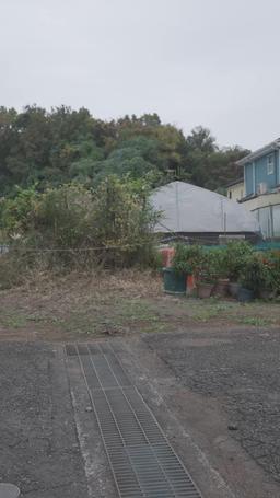 帰ってきたお嬢様 episode 37