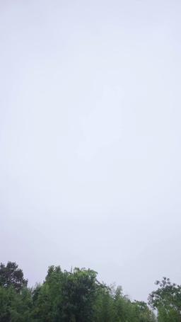 OMG! I'm the Divine?! episode 24