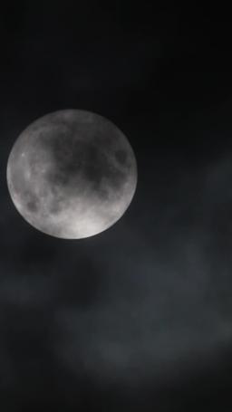 [dublado] Renascer para Amar o Sr. Perfeito episode 29