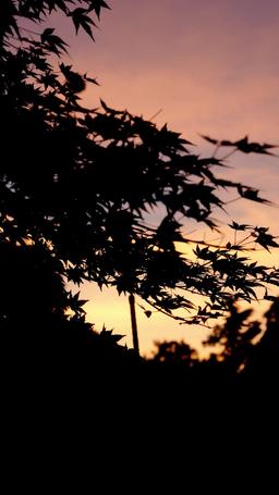 재벌 영애의 이중 생활 episode 69