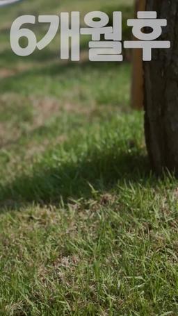 나만 보이는 재벌과 동거 중입니다 episode 51