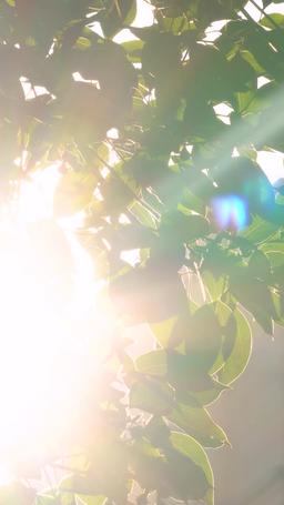 زوجتي السابقة  تتألق بعد الطلاق episode 4