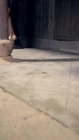 飢饉の村に花嫁がやってきた〜システムで始まる大逆転〜 episode 30