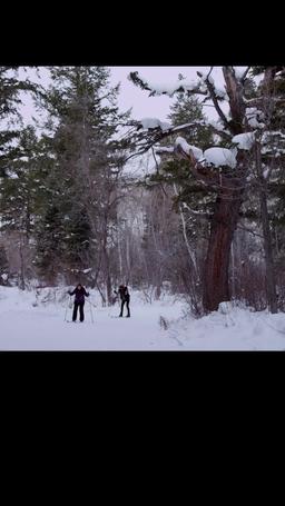 Beautiful Beast episode 5