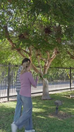 Domando meus Bullies episode 67