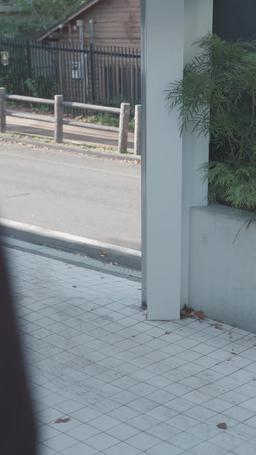 帰ってきたお嬢様 episode 13