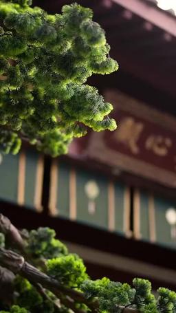 状元の悔い episode 6