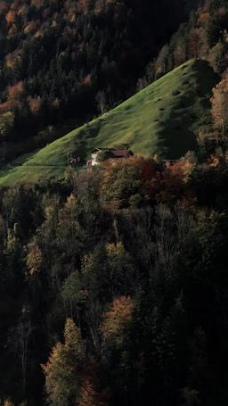 運命の番 ～アルファ狼と人間の禁断の恋～ episode 58